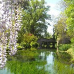 giardini di ninfa in fiore
