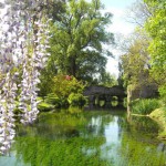 giardini di ninfa in fiore