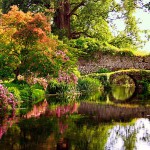 giardino di ninfa fondazione Caetani